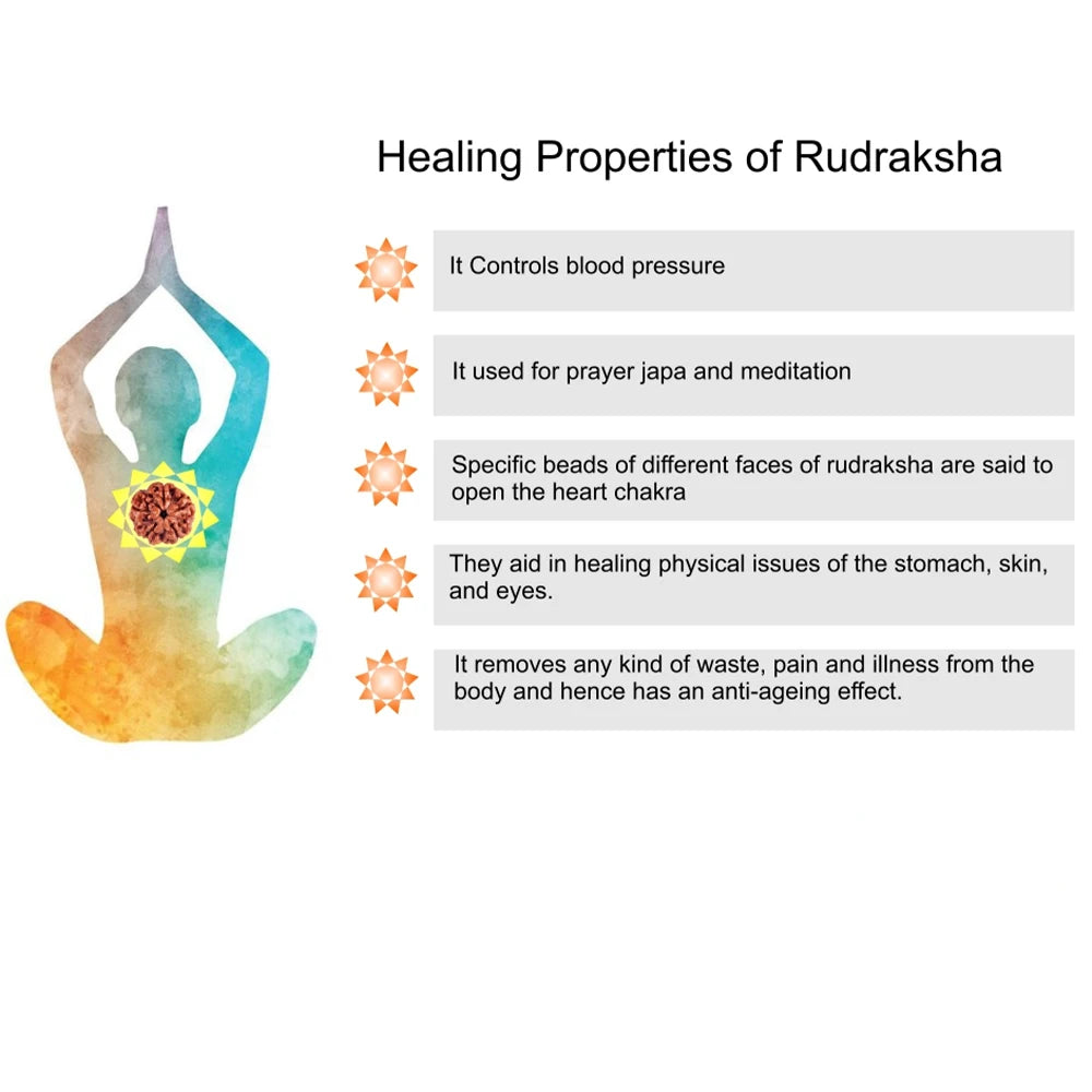 Natural Rudraksha 108 Beads Mala – Hand-Knotted Yoga & Meditation Necklace with Tassel