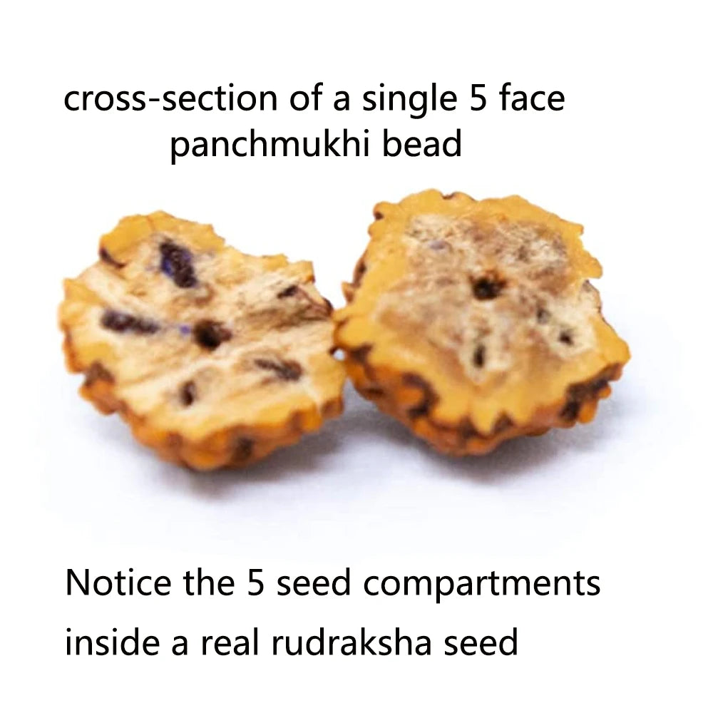 Natural Rudraksha 108 Beads Mala – Hand-Knotted Yoga & Meditation Necklace with Tassel